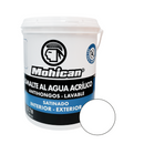 Esmalte Al Agua Antihongos Satinado 1 Galon BLANCO Mohican