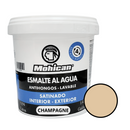 Esmalte Al Agua Antihongos Satinado 1/4 Galon  Mohican