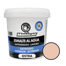Esmalte Al Agua Antihongos Satinado 1/4 Galon  Mohican
