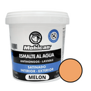 Esmalte Al Agua Antihongos Satinado 1/4 Galon  Mohican
