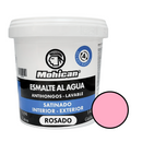 Esmalte Al Agua Antihongos Satinado 1/4 Galon  Mohican