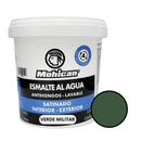 Esmalte Al Agua Antihongos Satinado 1/4 Galon  Mohican
