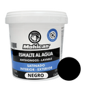 Esmalte Al Agua Antihongos Satinado 1/4 Galon  Mohican