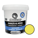 Esmalte Al Agua Antihongos Satinado 1/4 Galon  Mohican
