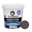 Esmalte Al Agua Antihongos Satinado 1/4 Galon  Mohican