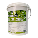 JABON POTÁSICO EN CREMA CONCENTRADO 10 LTS (RINDE 1000 LTS)