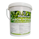 JABON POTÁSICO EN CREMA CONCENTRADO 10 LTS (RINDE 1000 LTS)