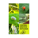 JABÓN POTÁSICO ACEITE DE NEEM CONCENTRADO 1 LTS (200 LTS)