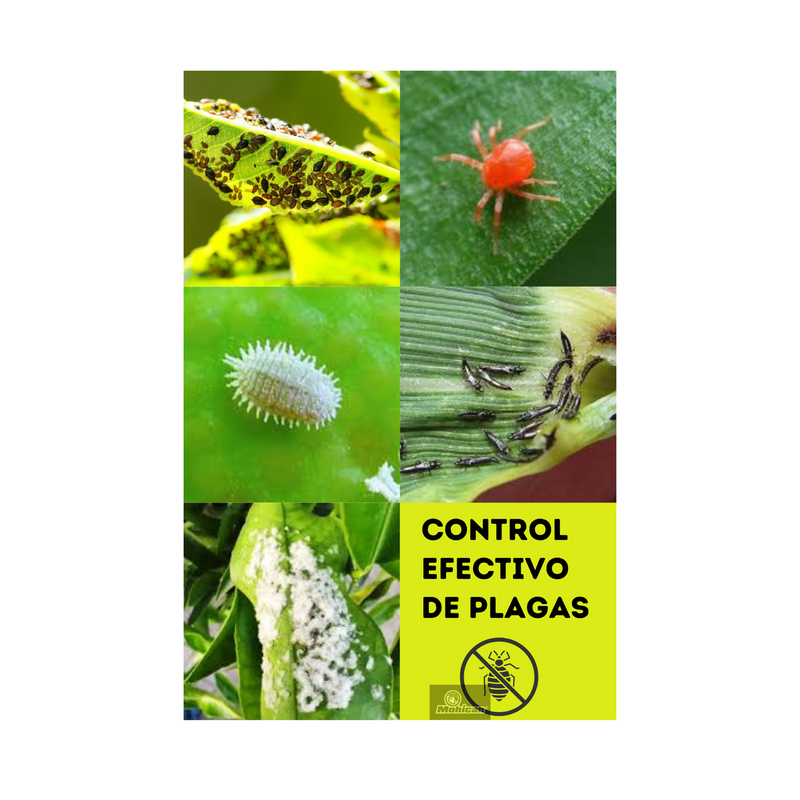 JABÓN POTÁSICO ACEITE DE NEEM CONCENTRADO 1 LTS (200 LTS)