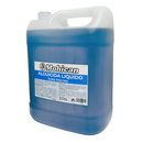 Alguicida para piscinas bidón 10 litros Mohican