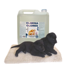 PROMO ELIMINA OLORES ORINA Y HECES LAVANDA 5LT + MANTA
