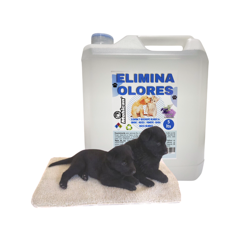 PROMO ELIMINA OLORES ORINA Y HECES LAVANDA 5LT + MANTA