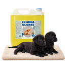 PROMO ELIMINA OLORES ORINA Y HECES EUCALIPTO 5LT + MANTA