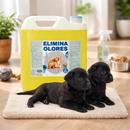 PROMO ELIMINA OLORES ORINA Y HECES EUCALIPTO 5LT + MANTA