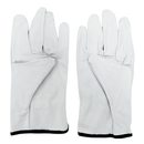 GUANTES DE CABRITILLA SIN FORRO SEG SELECCIÓN