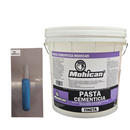 PROMO PASTA CEMENTICIA TIN 25 KGS + LLANA MET LISA MANGO MAD