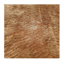 Piel Sintetica Llama Tela Zarzartex