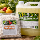 PROMO JABÓN POTÁSICO NEEM 5L + FERTILIZANTE FRUTALES 1 KG