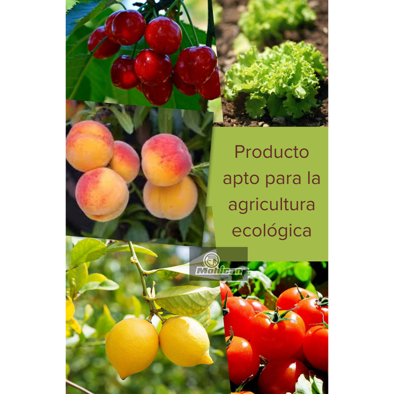 PROMO JABÓN POTÁSICO ACEITE NEEM 5LTS+TIERRA DIATOMEAS 1,2KG