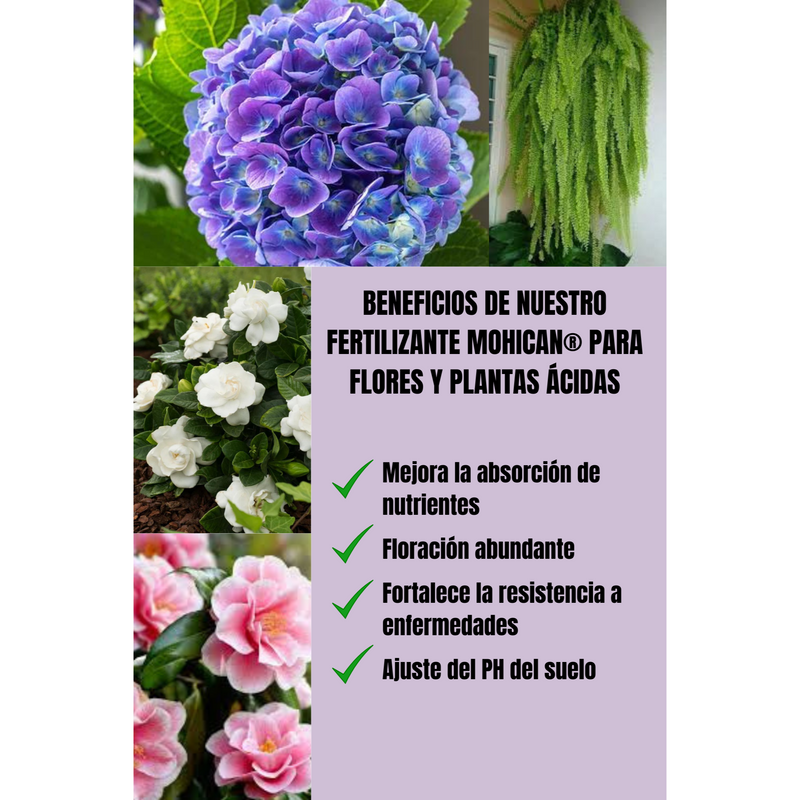 PROMO JABÓN POTÁSICO NEEM 5L + FERTILIZANTE ACIDAS 1 KG